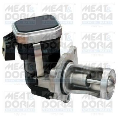 EGR Valve